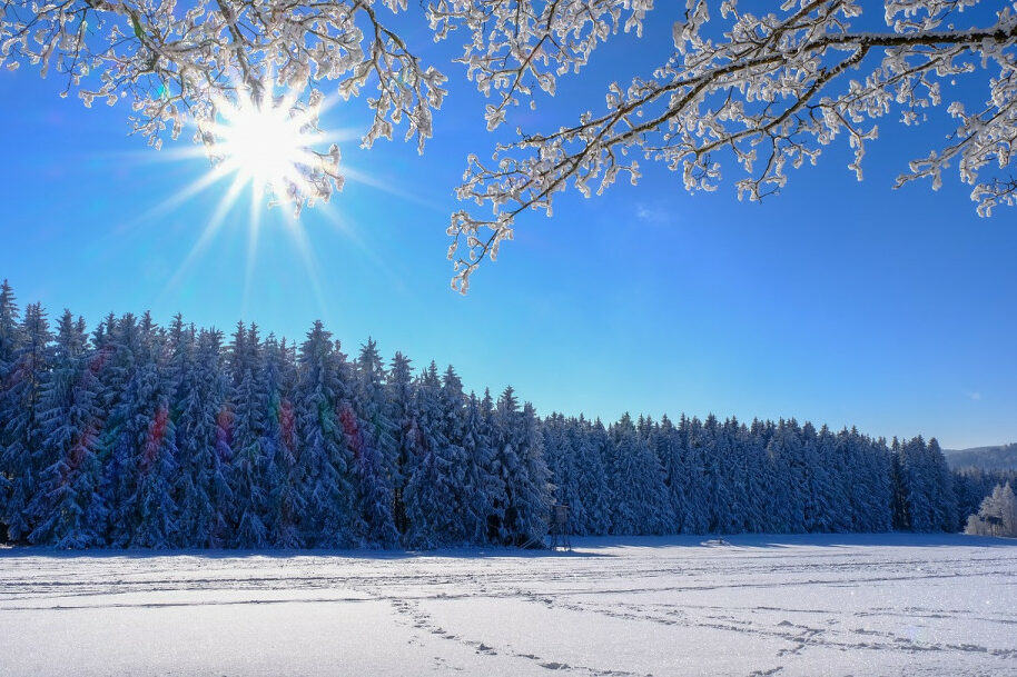 Kış Güneşi Şifa Dağıtıyor