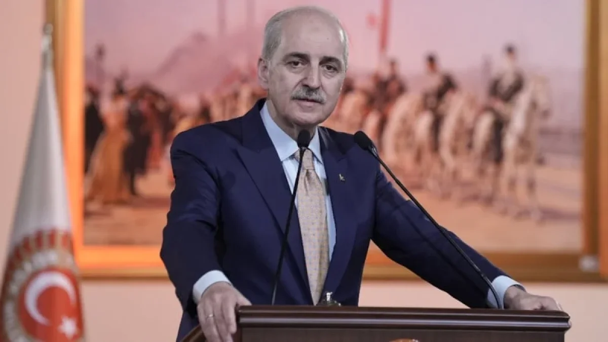 "Orman Kanunları" İle Ne Kastediliyor? Kurtulmuş Kimleri Hedef Aldı?