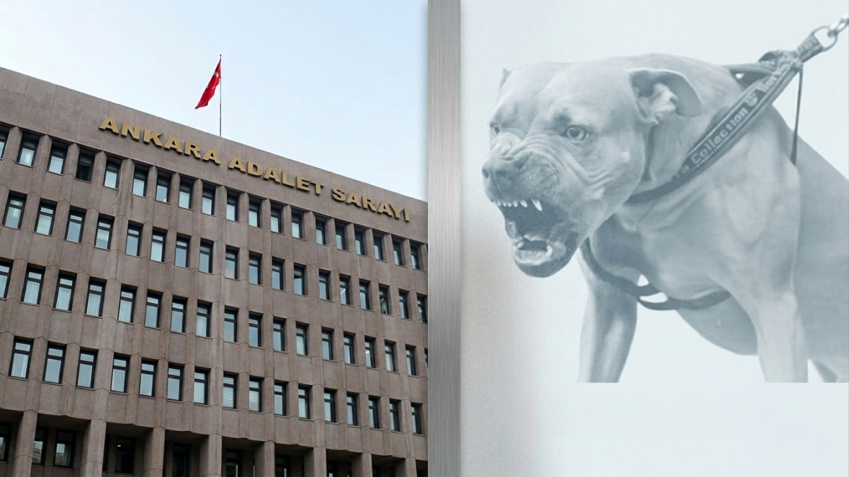 Ankara’daki Pitbull Dehşetinde Yeni Gelişme: 